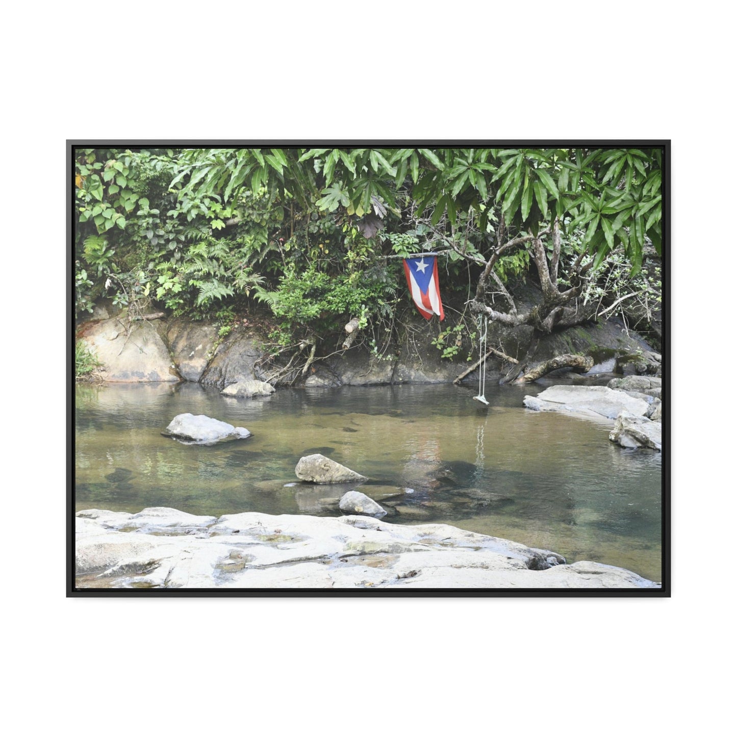 Rainforest Trails & Views - Gallery Canvas Wraps, Horizontal Frame - El Yunque National Forest - Rio Sabana Park and pond - Green Forest Home