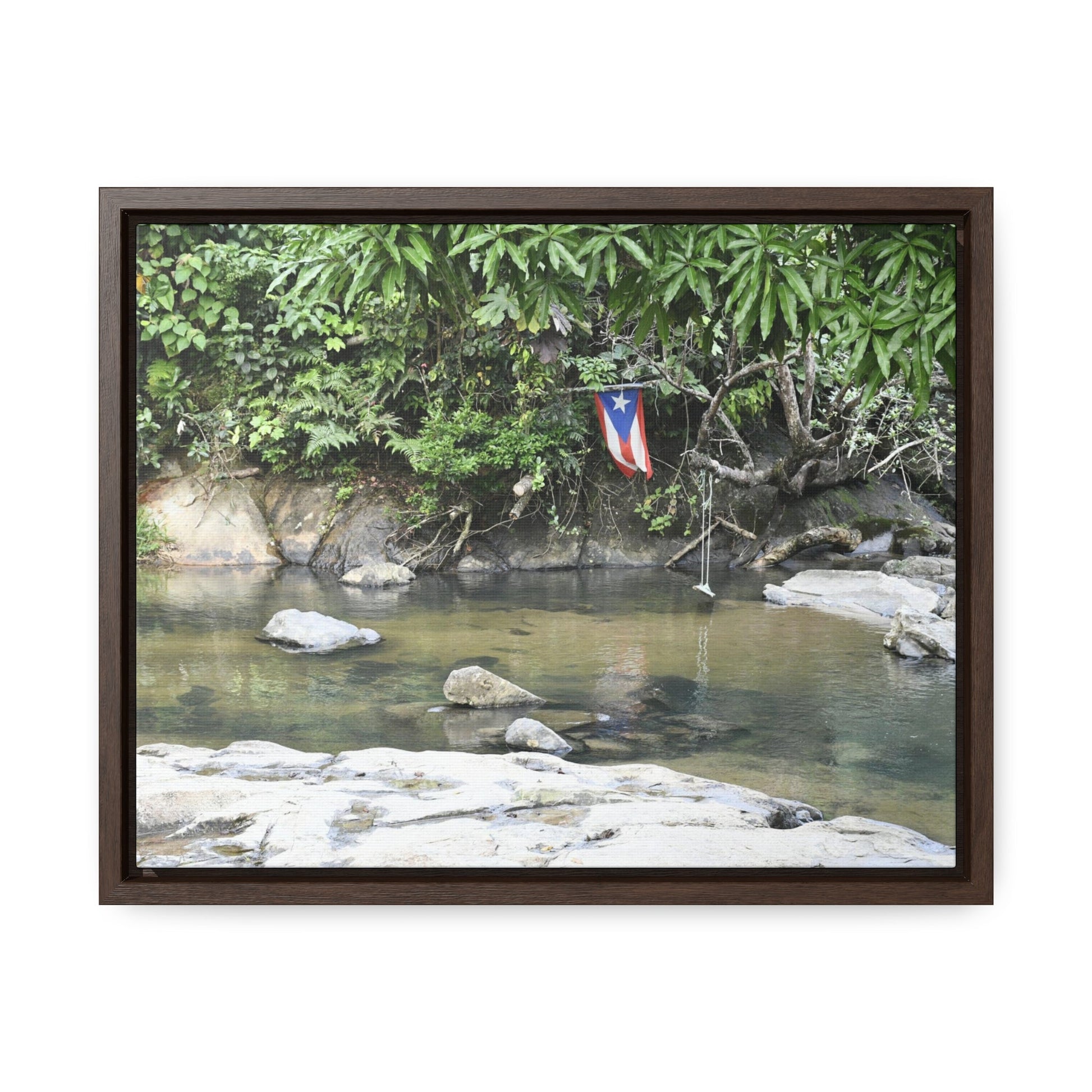 Rainforest Trails & Views - Gallery Canvas Wraps, Horizontal Frame - El Yunque National Forest - Rio Sabana Park and pond - Green Forest Home