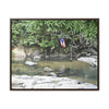 Rainforest Trails & Views - Gallery Canvas Wraps, Horizontal Frame - El Yunque National Forest - Rio Sabana Park and pond - Green Forest Home