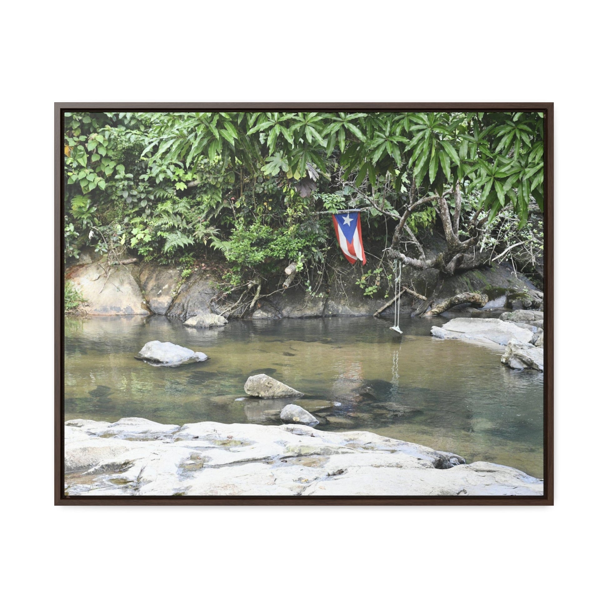 Rainforest Trails & Views - Gallery Canvas Wraps, Horizontal Frame - El Yunque National Forest - Rio Sabana Park and pond - Green Forest Home