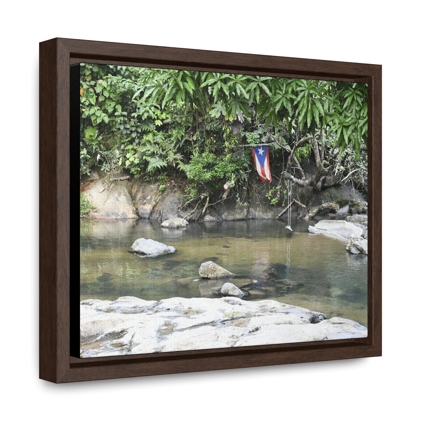 Rainforest Trails & Views - Gallery Canvas Wraps, Horizontal Frame - El Yunque National Forest - Rio Sabana Park and pond - Green Forest Home