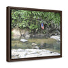 Rainforest Trails & Views - Gallery Canvas Wraps, Horizontal Frame - El Yunque National Forest - Rio Sabana Park and pond - Green Forest Home