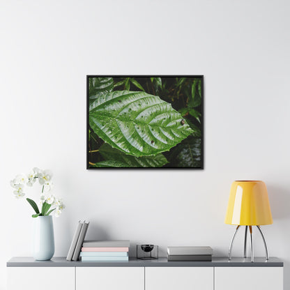 Rainforest Trails & Views - Gallery Canvas Wraps, Horizontal Frame - El Yunque National Forest - Rio Sabana road - Ortiga corrosive plant leaf - Green Forest Home