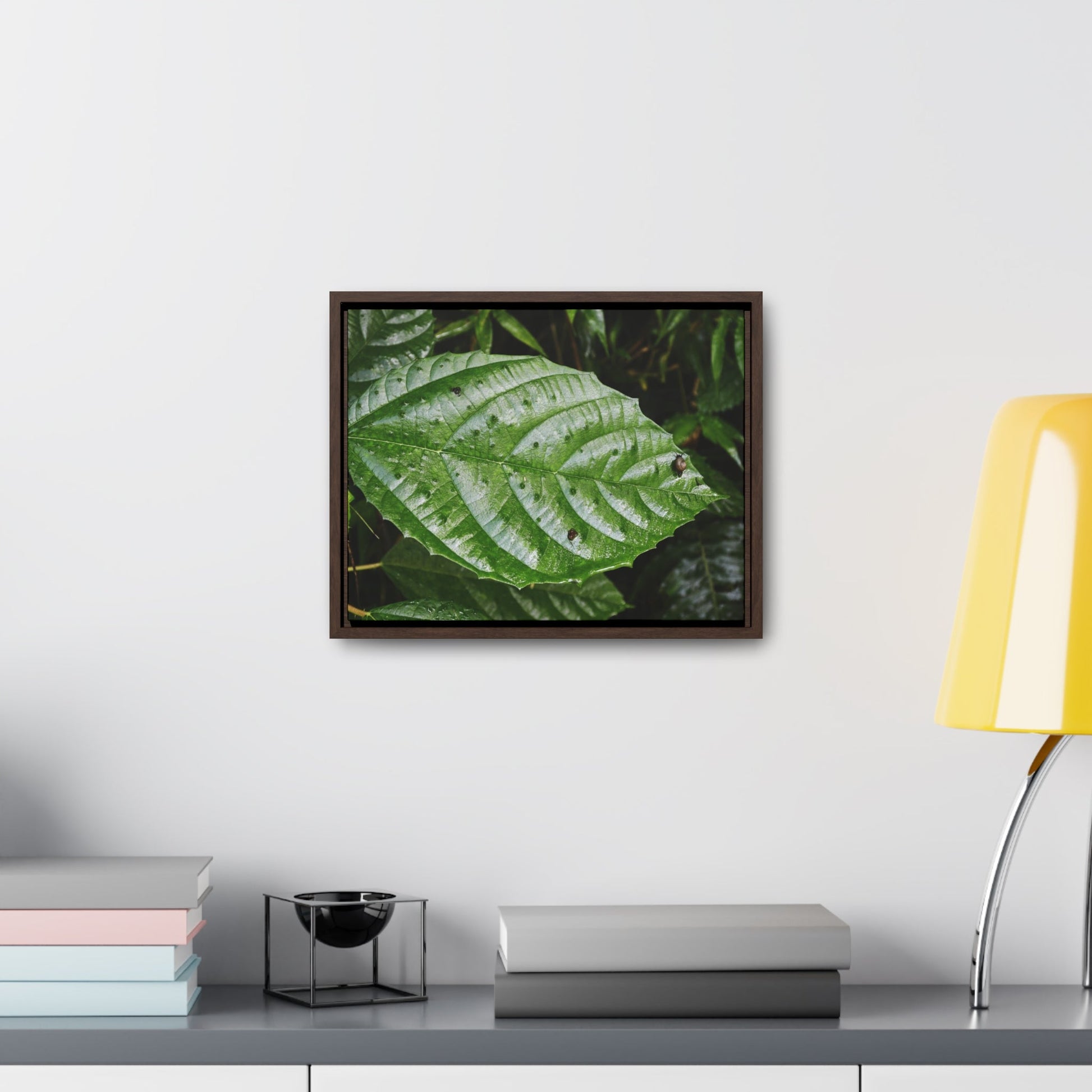 Rainforest Trails & Views - Gallery Canvas Wraps, Horizontal Frame - El Yunque National Forest - Rio Sabana road - Ortiga corrosive plant leaf - Green Forest Home