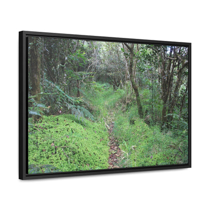 Rainforest Trails & Views - Gallery Canvas Wraps, Horizontal Frame - El Yunque National Forest - Tradewinds trail - cloud forest - Green Forest Home