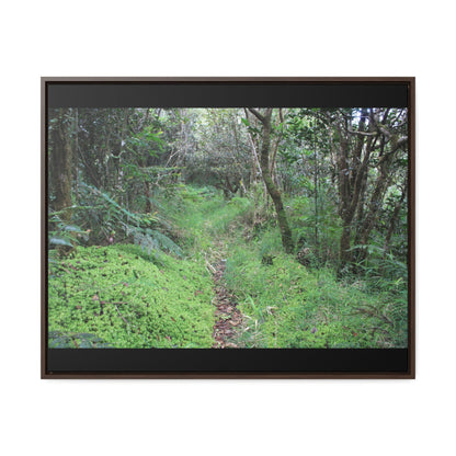 Rainforest Trails & Views - Gallery Canvas Wraps, Horizontal Frame - El Yunque National Forest - Tradewinds trail - cloud forest - Green Forest Home