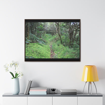 Rainforest Trails & Views - Gallery Canvas Wraps, Horizontal Frame - El Yunque National Forest - Tradewinds trail - cloud forest - Green Forest Home