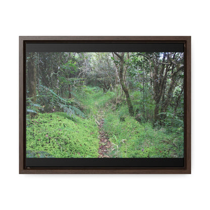 Rainforest Trails & Views - Gallery Canvas Wraps, Horizontal Frame - El Yunque National Forest - Tradewinds trail - cloud forest - Green Forest Home