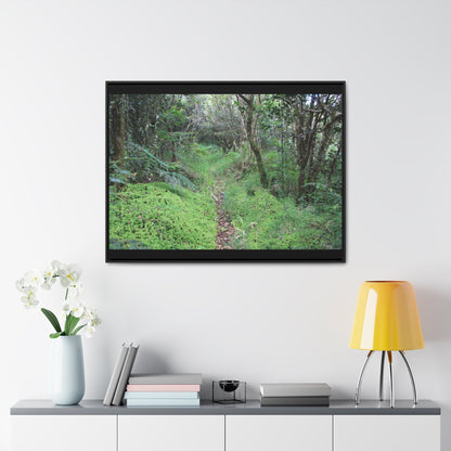 Rainforest Trails & Views - Gallery Canvas Wraps, Horizontal Frame - El Yunque National Forest - Tradewinds trail - cloud forest - Green Forest Home