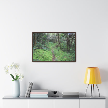Rainforest Trails & Views - Gallery Canvas Wraps, Horizontal Frame - El Yunque National Forest - Tradewinds trail - cloud forest - Green Forest Home