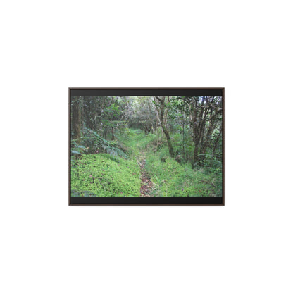 Rainforest Trails & Views - Gallery Canvas Wraps, Horizontal Frame - El Yunque National Forest - Tradewinds trail - cloud forest - Green Forest Home