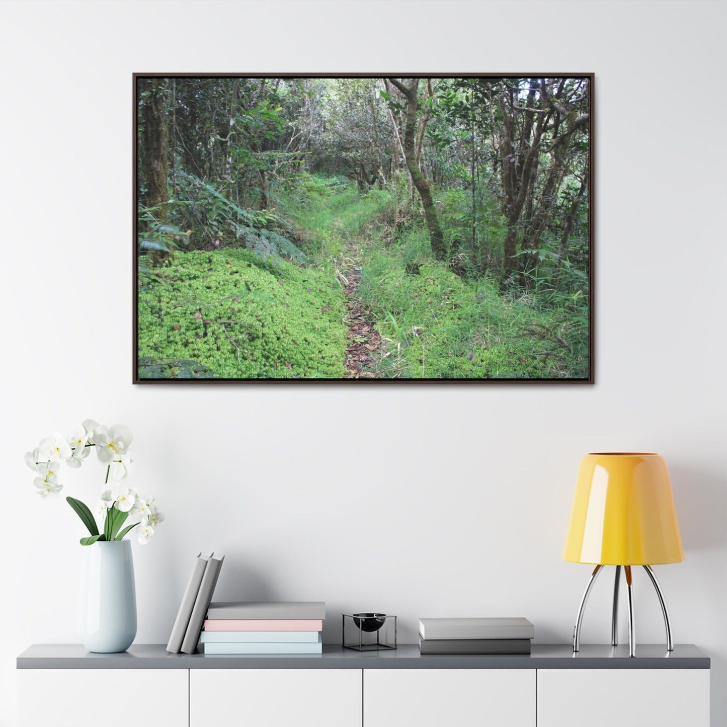 Rainforest Trails & Views - Gallery Canvas Wraps, Horizontal Frame - El Yunque National Forest - Tradewinds trail - cloud forest - Green Forest Home