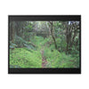 Rainforest Trails & Views - Gallery Canvas Wraps, Horizontal Frame - El Yunque National Forest - Tradewinds trail - cloud forest - Green Forest Home