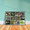 Rainforest Trails & Views - Horizontal Frame - El Yunque National Forest - Puerto Rico -Premium Matte Paper Wooden Framed Poster - 12 high-resolution Nikon Prints - The amazing leafs of the Yagrumo tree - in decomposition etc. - Green Forest Home