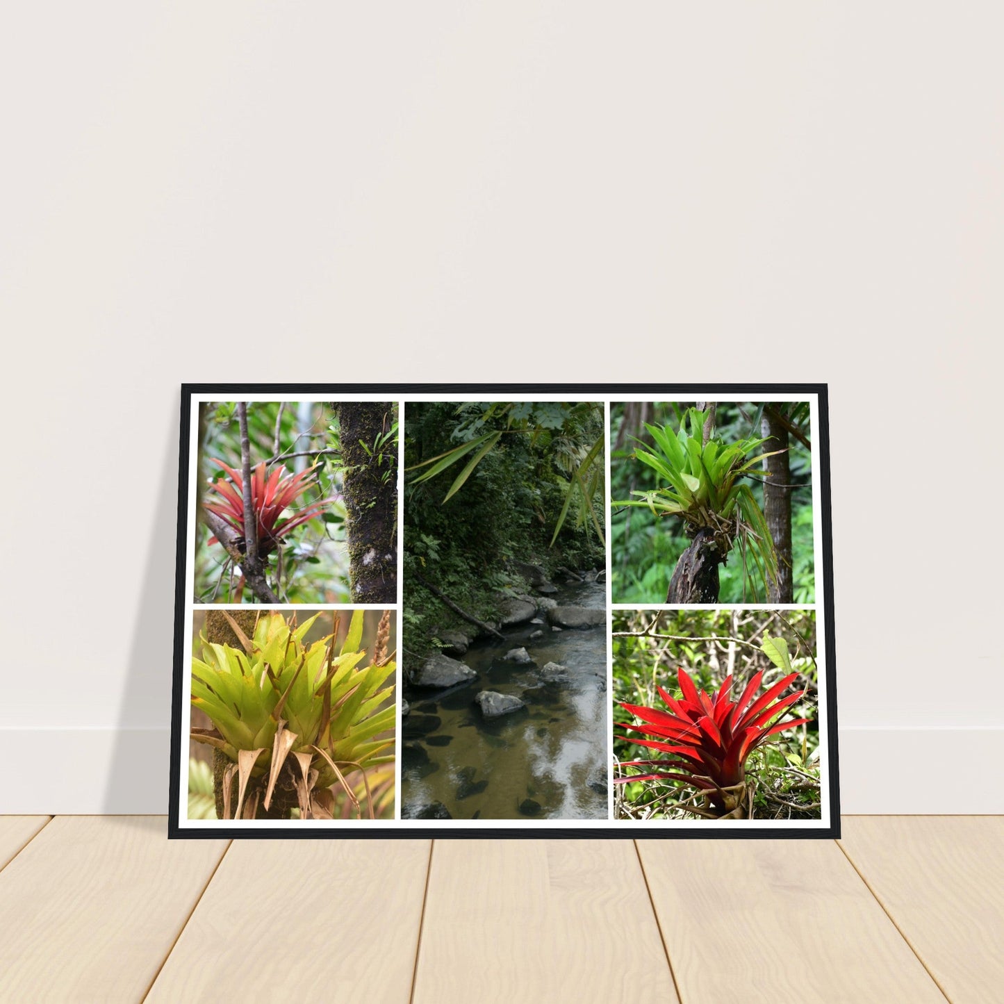 Rainforest Trails & Views - Horizontal Frame - El Yunque National Forest - Puerto Rico - Premium Matte Paper Wooden Framed Poster - 5 high-resolution Nikon Prints - Bromeliads - Green Forest Home