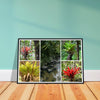 Rainforest Trails & Views - Horizontal Frame - El Yunque National Forest - Puerto Rico - Premium Matte Paper Wooden Framed Poster - 5 high-resolution Nikon Prints - Bromeliads - Green Forest Home