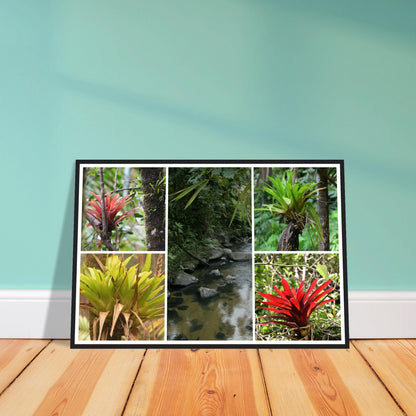 Rainforest Trails & Views - Horizontal Frame - El Yunque National Forest - Puerto Rico - Premium Matte Paper Wooden Framed Poster - 5 high-resolution Nikon Prints - Bromeliads - Green Forest Home