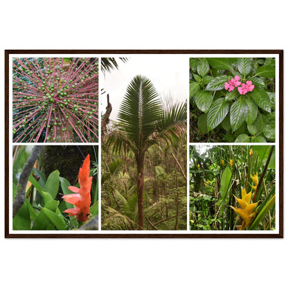 Rainforest Trails & Views - Horizontal Frame - El Yunque National Forest - Puerto Rico -Premium Matte Paper Wooden Framed Poster - 5 high-resolution Nikon Prints of El Yunque National Forest - Green Forest Home