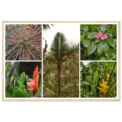 Rainforest Trails & Views - Horizontal Frame - El Yunque National Forest - Puerto Rico -Premium Matte Paper Wooden Framed Poster - 5 high-resolution Nikon Prints of El Yunque National Forest - Green Forest Home