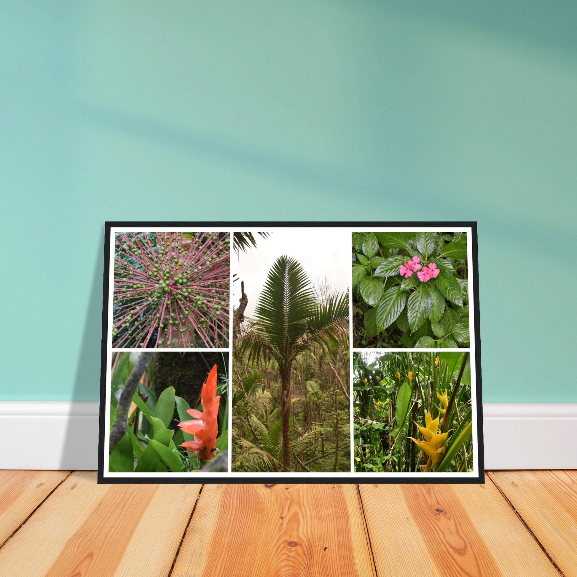 Rainforest Trails & Views - Horizontal Frame - El Yunque National Forest - Puerto Rico -Premium Matte Paper Wooden Framed Poster - 5 high-resolution Nikon Prints of El Yunque National Forest - Green Forest Home