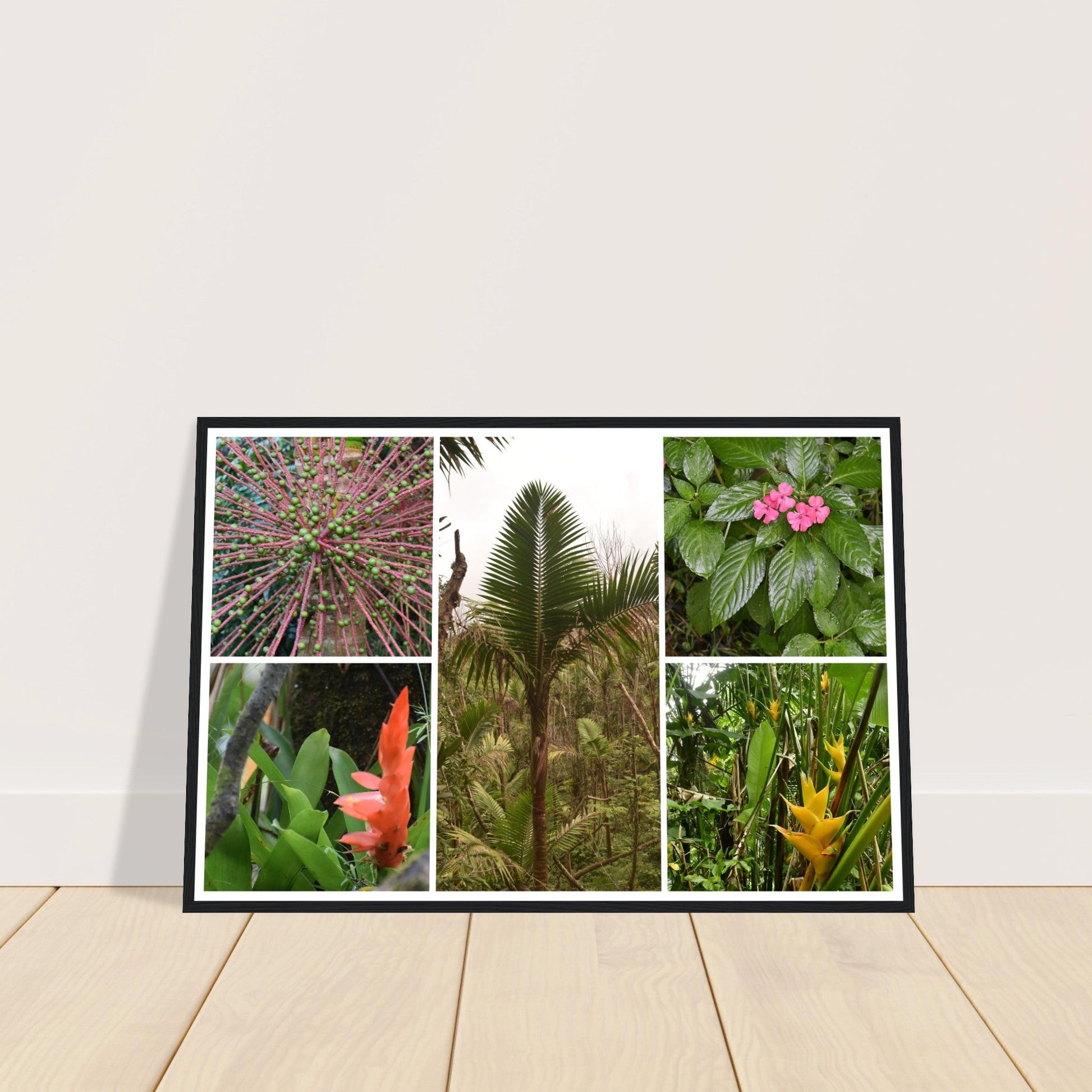 Rainforest Trails & Views - Horizontal Frame - El Yunque National Forest - Puerto Rico -Premium Matte Paper Wooden Framed Poster - 5 high-resolution Nikon Prints of El Yunque National Forest - Green Forest Home