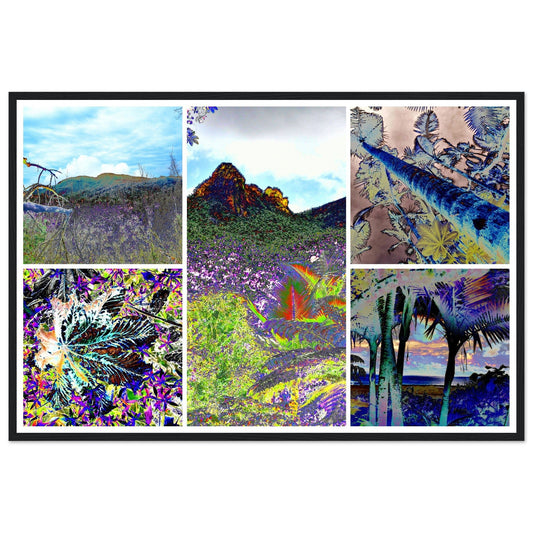 Rainforest Trails & Views - Horizontal Frame - El Yunque National Forest - Puerto Rico - Premium Matte Paper Wooden Framed Poster - 5 high-resolution Nikon Prints of El Yunque National Forest - Color enhanced images for the fine details - Green Forest Home