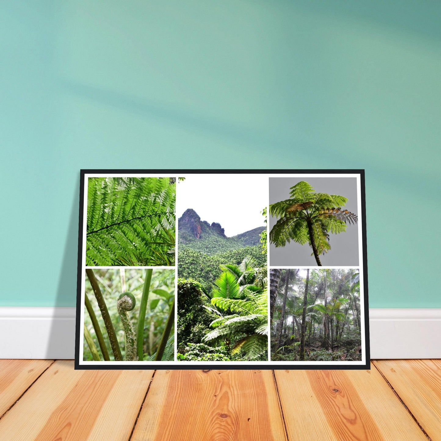 Rainforest Trails & Views - Horizontal Frame - El Yunque National Forest - Puerto Rico -Premium Matte Paper Wooden Framed Poster - 5 high-resolution Nikon Prints of El Yunque National Forest - The sierra palm and fern palms - Green Forest Home