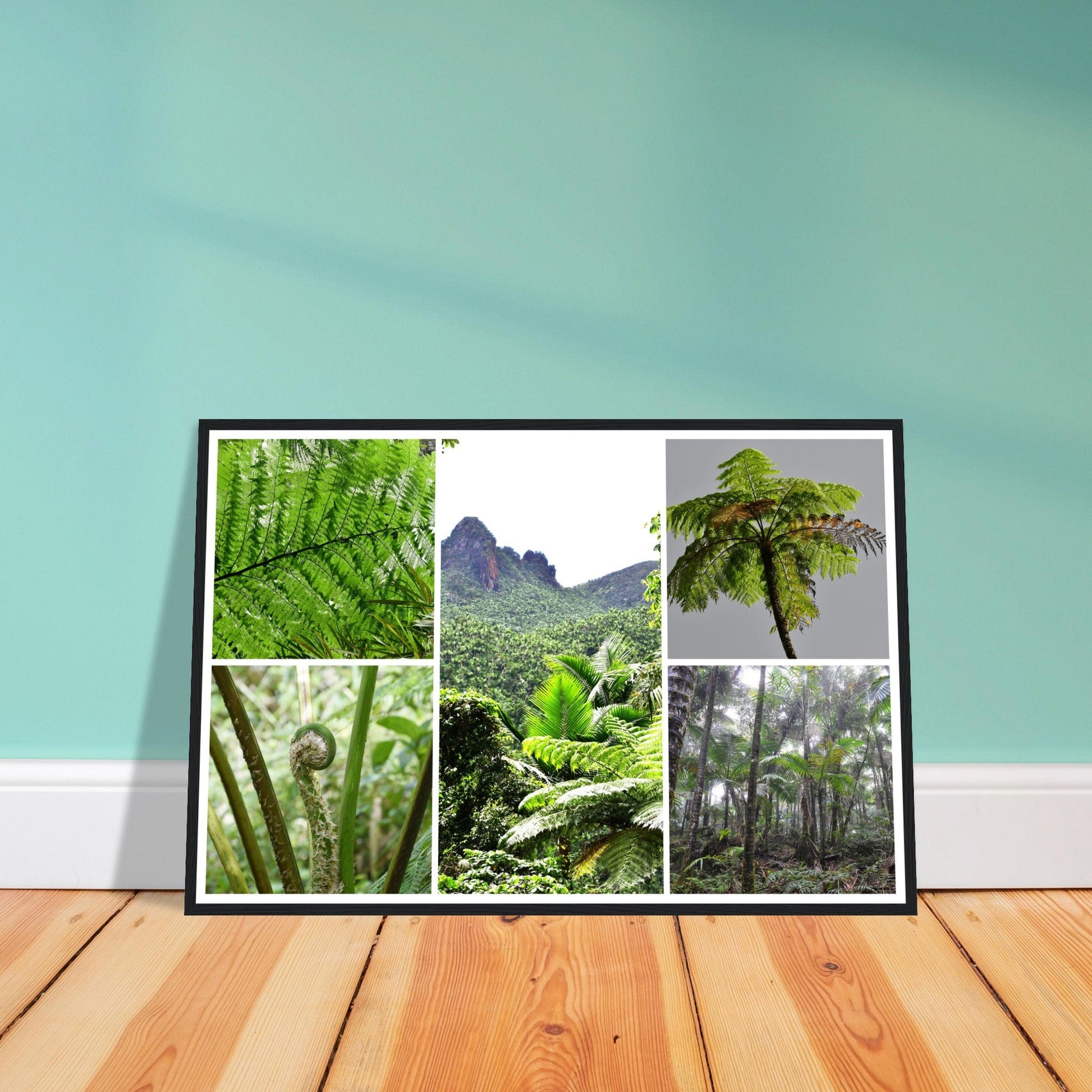 Rainforest Trails & Views - Horizontal Frame - El Yunque National Forest - Puerto Rico -Premium Matte Paper Wooden Framed Poster - 5 high-resolution Nikon Prints of El Yunque National Forest - The sierra palm and fern palms - Green Forest Home
