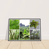 Rainforest Trails & Views - Horizontal Frame - El Yunque National Forest - Puerto Rico -Premium Matte Paper Wooden Framed Poster - 5 high-resolution Nikon Prints of El Yunque National Forest - The sierra palm and fern palms - Green Forest Home
