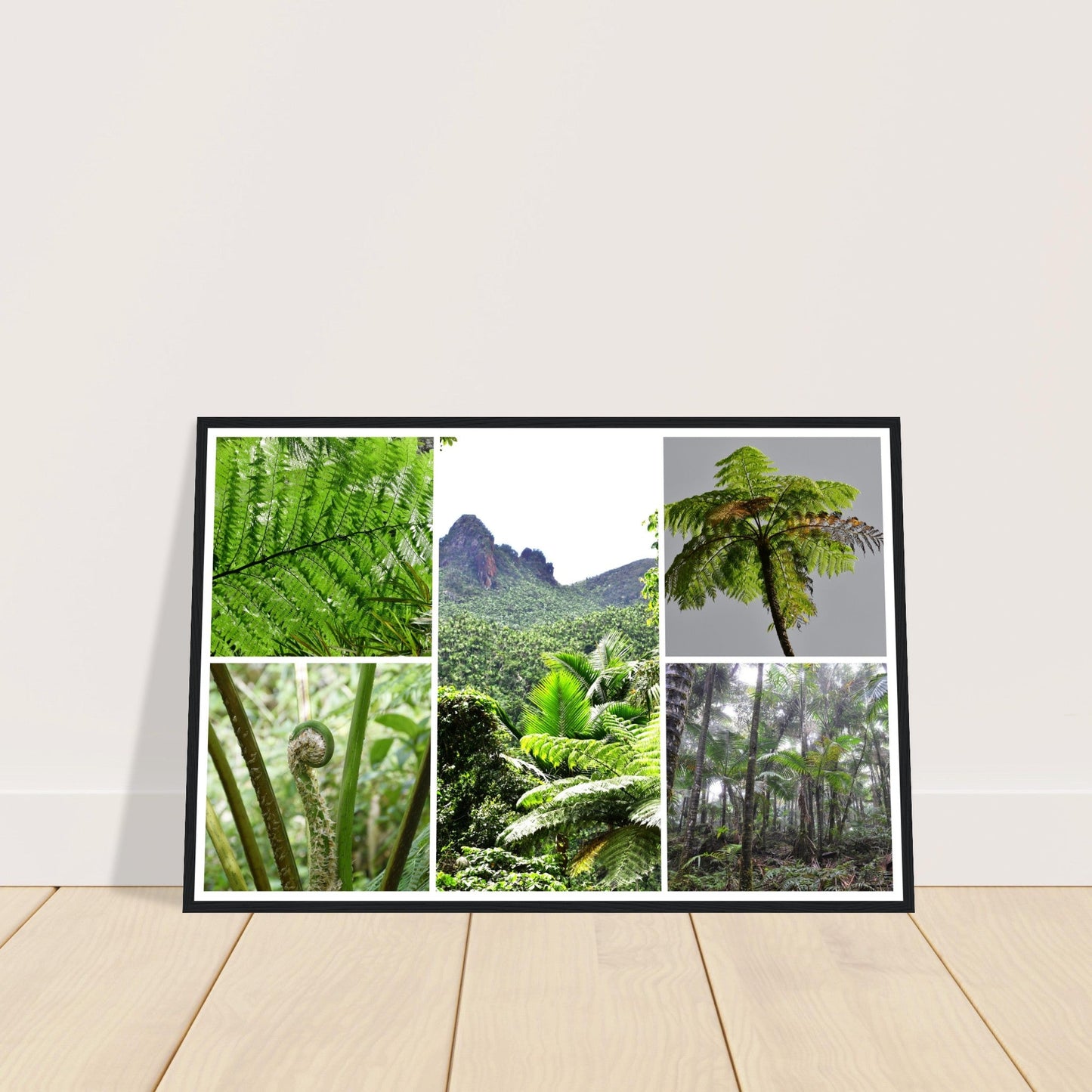 Rainforest Trails & Views - Horizontal Frame - El Yunque National Forest - Puerto Rico -Premium Matte Paper Wooden Framed Poster - 5 high-resolution Nikon Prints of El Yunque National Forest - The sierra palm and fern palms - Green Forest Home