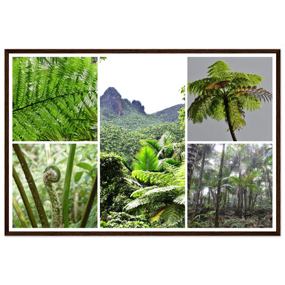 Rainforest Trails & Views - Horizontal Frame - El Yunque National Forest - Puerto Rico -Premium Matte Paper Wooden Framed Poster - 5 high-resolution Nikon Prints of El Yunque National Forest - The sierra palm and fern palms - Green Forest Home