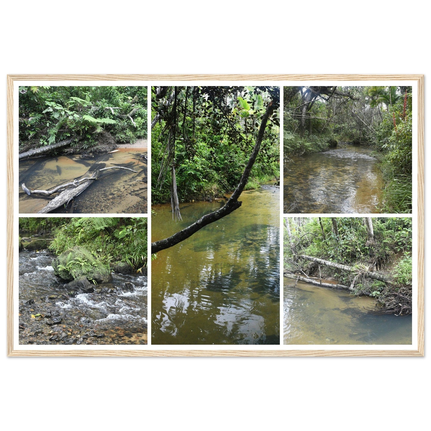 Rainforest Trails & Views - Horizontal Frame - El Yunque National Forest - Puerto Rico - Premium Matte Paper Wooden Framed Poster - 5 high-resolution Nikon Prints - of the Pristine upper Rio Sabana - Green Forest Home