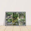 Rainforest Trails & Views - Horizontal Frame - El Yunque National Forest - Puerto Rico - Premium Matte Paper Wooden Framed Poster - 5 high-resolution Nikon Prints - of the Pristine upper Rio Sabana - Green Forest Home