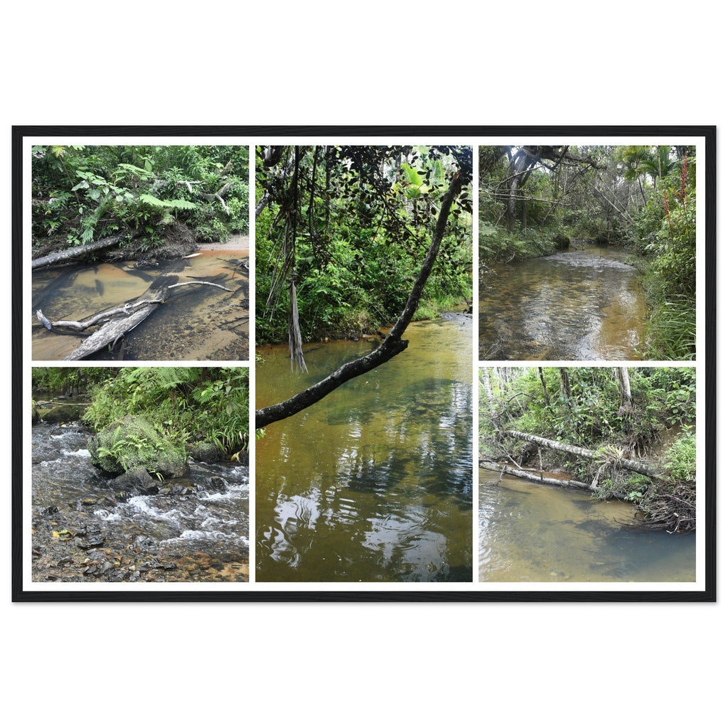 Rainforest Trails & Views - Horizontal Frame - El Yunque National Forest - Puerto Rico - Premium Matte Paper Wooden Framed Poster - 5 high-resolution Nikon Prints - of the Pristine upper Rio Sabana - Green Forest Home