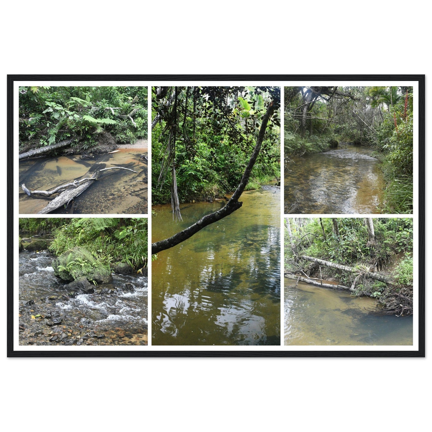 Rainforest Trails & Views - Horizontal Frame - El Yunque National Forest - Puerto Rico - Premium Matte Paper Wooden Framed Poster - 5 high-resolution Nikon Prints - of the Pristine upper Rio Sabana - Green Forest Home