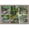 Rainforest Trails & Views - Horizontal Frame - El Yunque National Forest - Puerto Rico - Premium Matte Paper Wooden Framed Poster - 5 high-resolution Nikon Prints - of the Pristine upper Rio Sabana - Green Forest Home