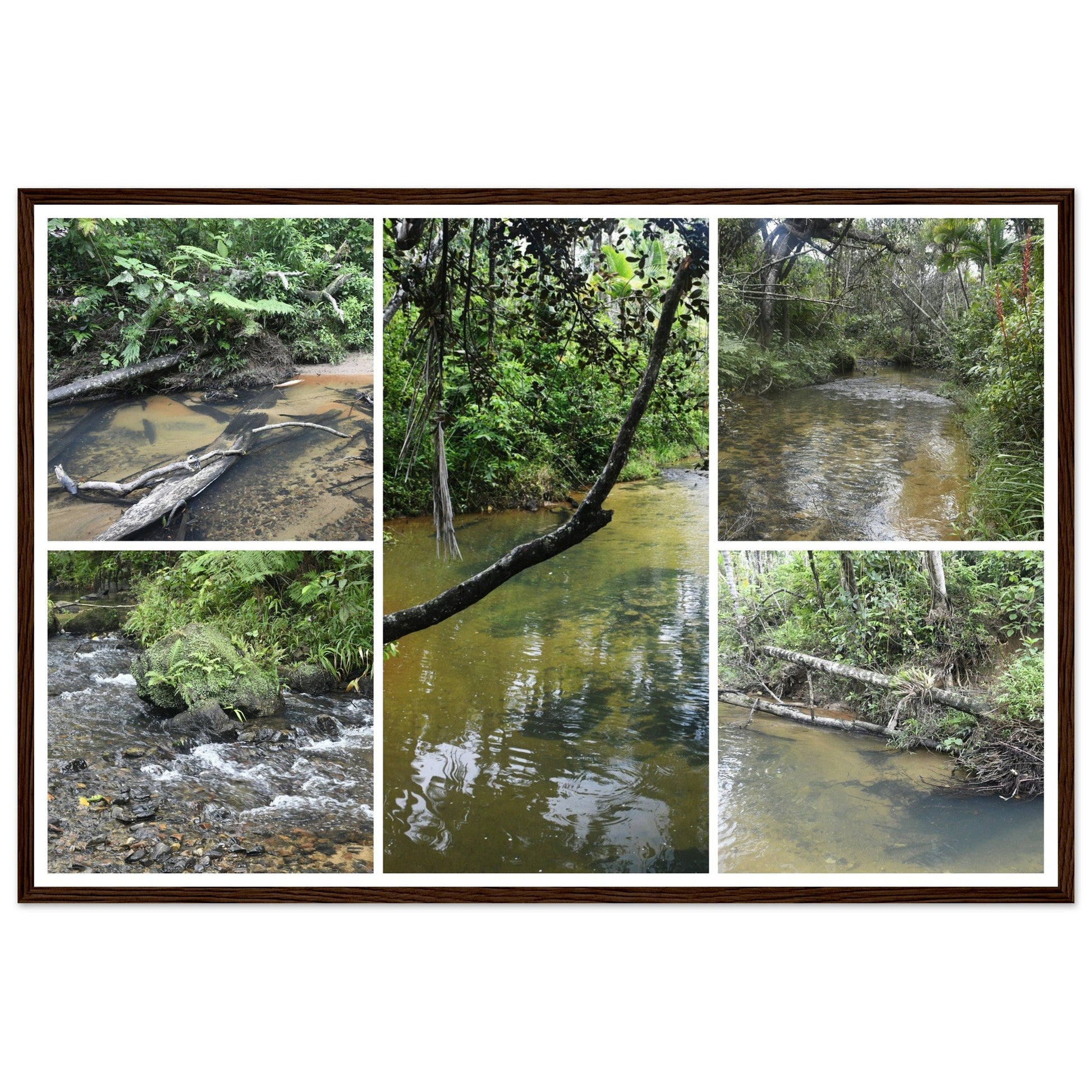 Rainforest Trails & Views - Horizontal Frame - El Yunque National Forest - Puerto Rico - Premium Matte Paper Wooden Framed Poster - 5 high-resolution Nikon Prints - of the Pristine upper Rio Sabana - Green Forest Home