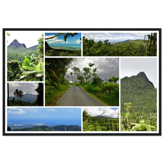 Rainforest Trails & Views - Horizontal Frame - El Yunque National Forest - Puerto Rico -Premium Matte Paper Wooden Framed Poster - 8 high-resolution Nikon Prints - The amazing views of El Yunque - peaks,roads, trail - Green Forest Home