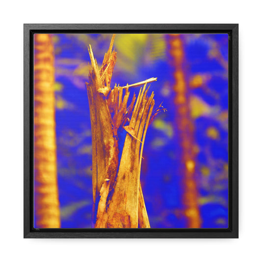 Rainforest Trails & Views - US Made Framed Print - El Yunque National Forest - Puerto Rico - Colorized Broken tree by Hurricane Maria 140MPH winds - Green Forest Home