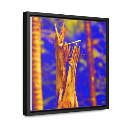 Rainforest Trails & Views - US Made Framed Print - El Yunque National Forest - Puerto Rico - Colorized Broken tree by Hurricane Maria 140MPH winds - Green Forest Home
