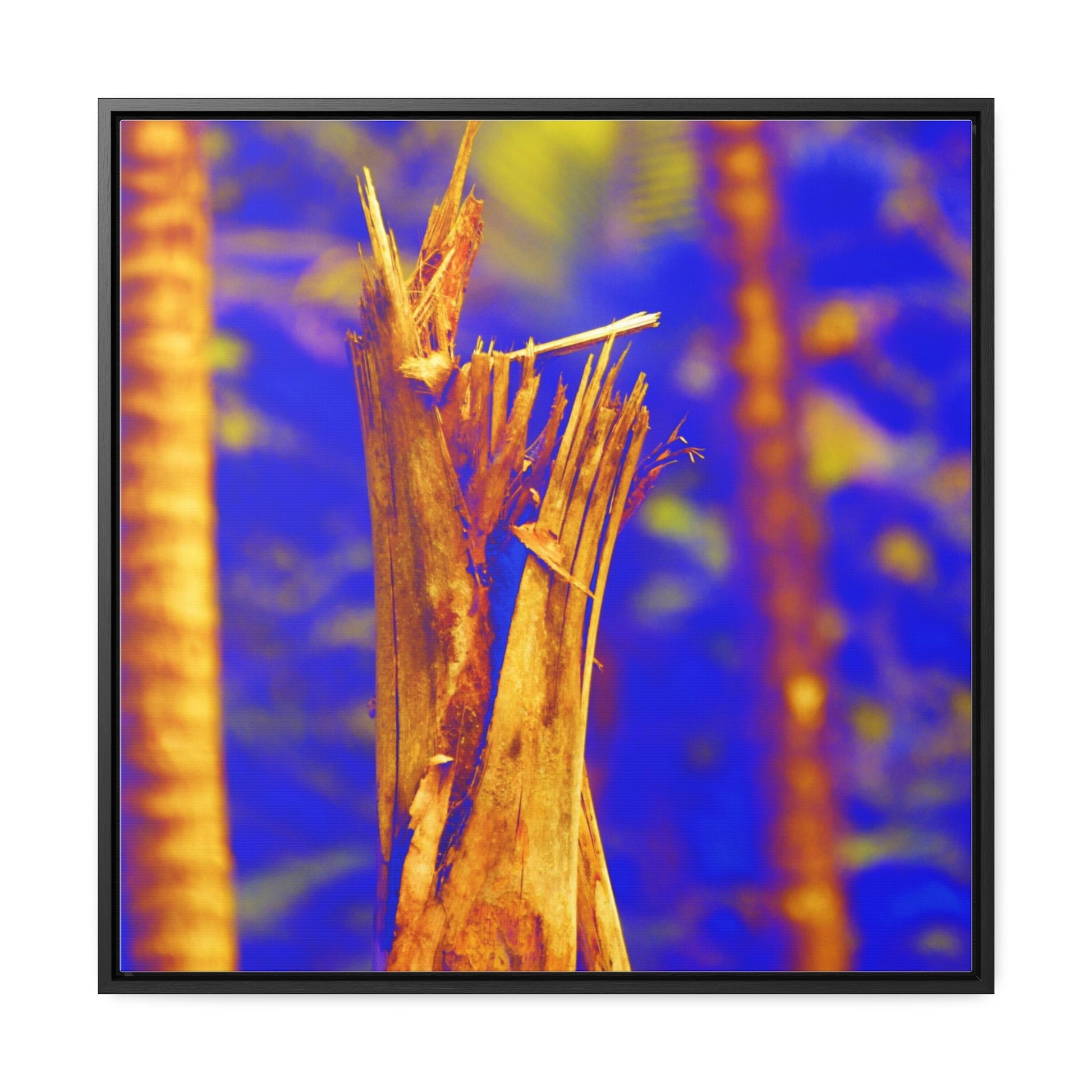 Rainforest Trails & Views - US Made Framed Print - El Yunque National Forest - Puerto Rico - Colorized Broken tree by Hurricane Maria 140MPH winds - Green Forest Home