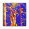 Rainforest Trails & Views - US Made Framed Print - El Yunque National Forest - Puerto Rico - Colorized Broken tree by Hurricane Maria 140MPH winds - Green Forest Home