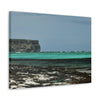 Shining see of pajaros beach - Puerto Rico - the Galapagos of the Caribbean - Green Forest Home