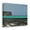Shining see of pajaros beach - Puerto Rico - the Galapagos of the Caribbean - Green Forest Home