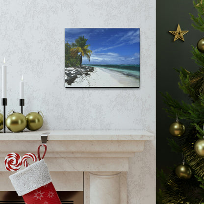 SMALL Canvas Gallery Wraps - Made in USA - Awesome and remote - Mona Island Pajaros beach PR - Green Forest Home