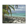 SMALL Canvas Gallery Wraps - Made in USA - Awesome and remote - Mona Island Pajaros beach PR - Green Forest Home