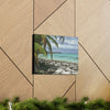 SMALL Canvas Gallery Wraps - Made in USA - Awesome and remote - Mona Island Pajaros beach PR - Green Forest Home