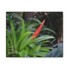 SMALL Canvas Gallery Wraps - Made in USA - Bromeliad in flower in El Yunque rainforest PR - Green Forest Home