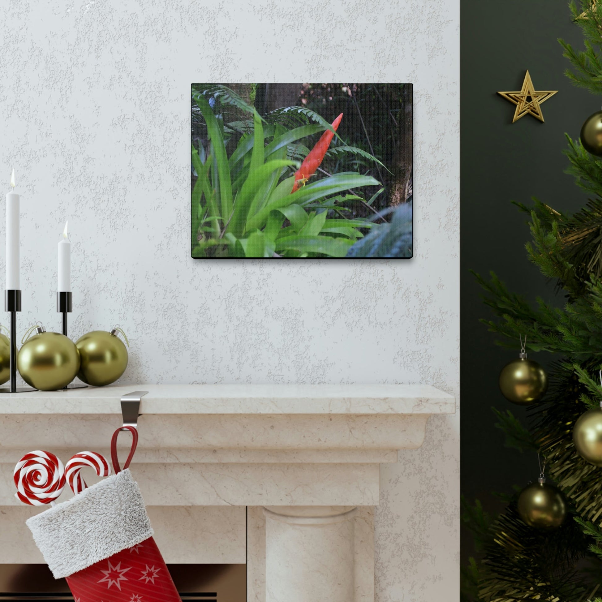 SMALL Canvas Gallery Wraps - Made in USA - Bromeliad in flower in El Yunque rainforest PR - Green Forest Home