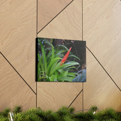 SMALL Canvas Gallery Wraps - Made in USA - Bromeliad in flower in El Yunque rainforest PR - Green Forest Home